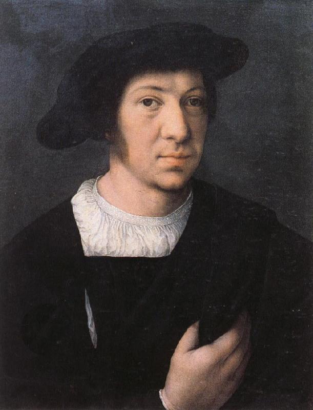 Bernard van orley Portrait of a Man oil painting image
